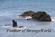 32 - Seals (4954)
