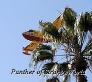 IMG 9073
