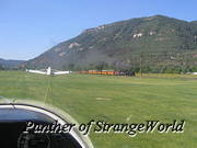 IMG 2584