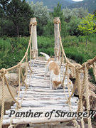 06 - Bridge