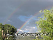 13 - Rainbows1