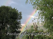 14 - Rainbows2