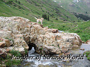 34 - StreamThroughRocks