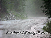37 - SnowyRoad