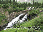 41 - Falls