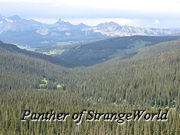 63 - ForestAndMountains