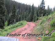 65 - MoreRoughRoad