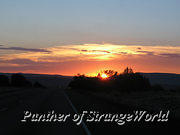 72 - DesertSunset