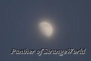 02-HazyMoon