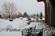 08-BackyardMountains