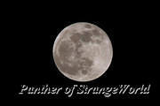 12-FullMoon