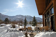 15-SunnyBackyard