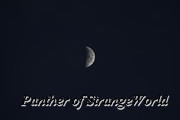 04 - Half Moon (5351)