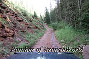 37 - Narrow Trail (6385)