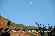 40 - View With a Moon (6417)