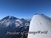 PXL 20210710 013706400