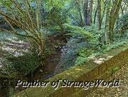 PXL 20220921 142725026