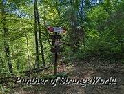 PXL 20220922 101325186