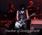 IMG 5177