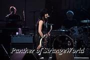 IMG 5217