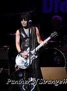 IMG 5586