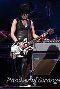 IMG 5905
