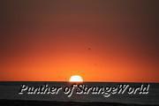Winter Solstice 2013