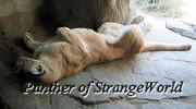 MountainLion2