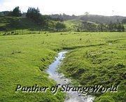 Stream