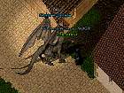 DragonTamed.jpg