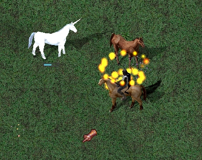 Unicorn Fight 1