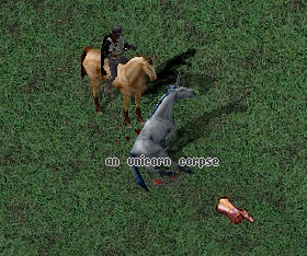 Unicorn Fight 3